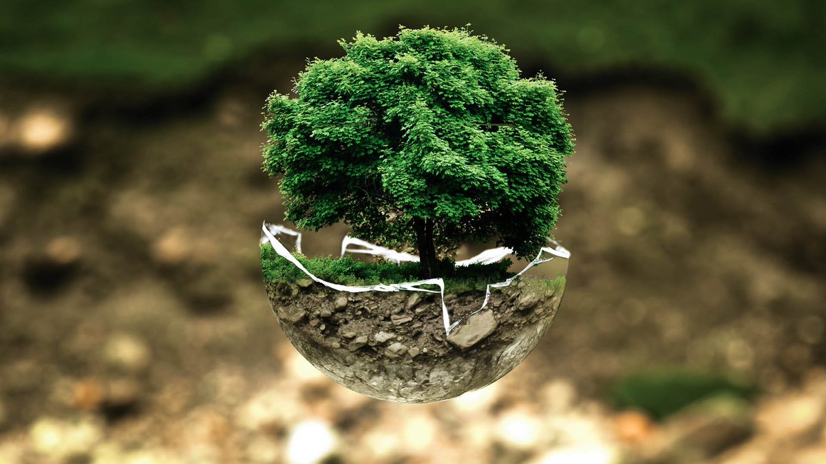 Alliancemag's tweet photo. #NewBlog: #Environment trumps all yet is still ignored by majority of #foundations
'What is missing from these conversations is the human cost #climatechange currently and imminently has on all of us and particularly the people we seek to support' https://t.co/6XNeOBOcAQ https://t.co/bHFV4M4crn