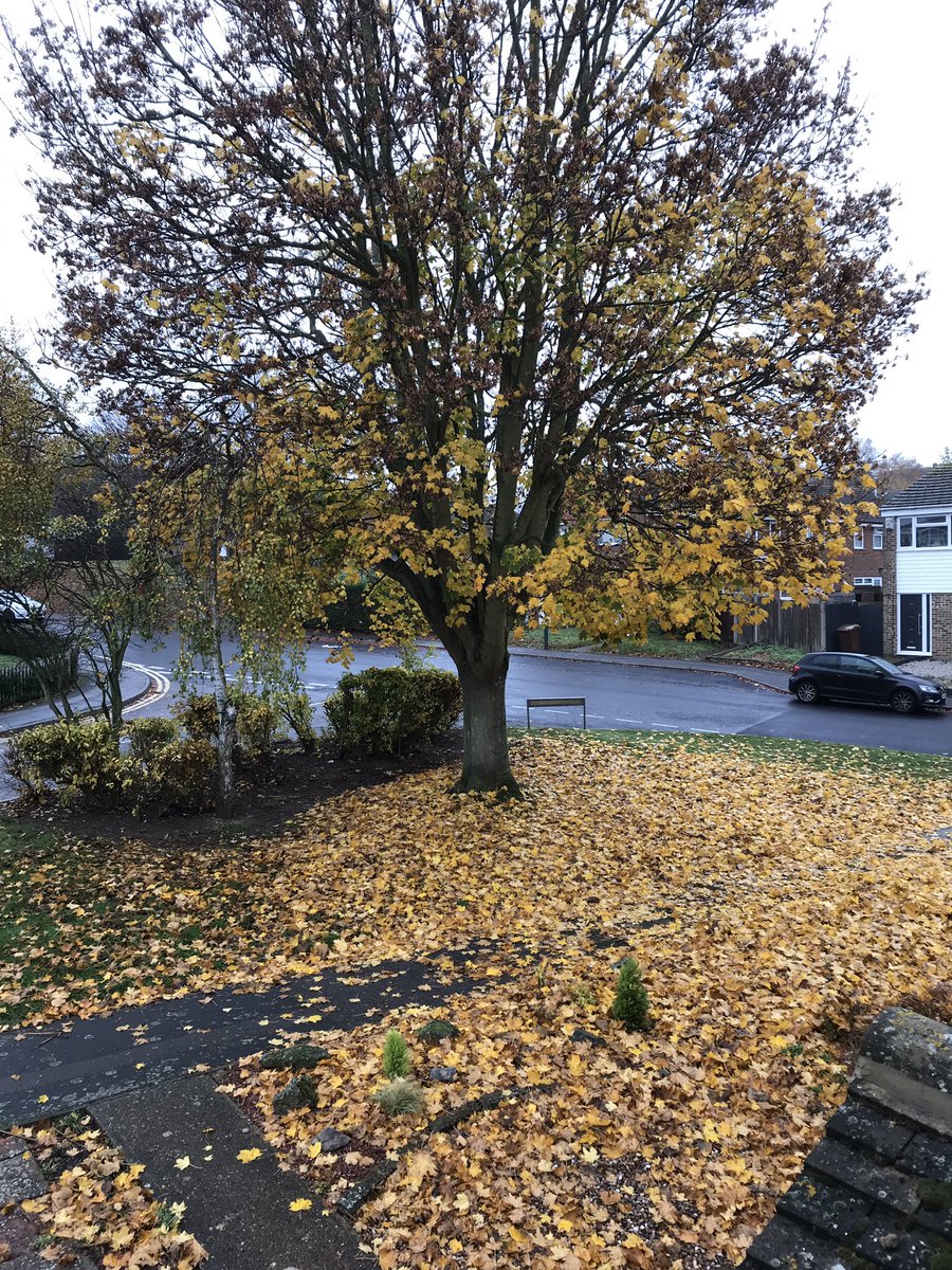 KellsBelles2's tweet photo. @medway_council Why would your staff sit in their van for nearly 2hrs then just trim the bushes and sweep up a few 🍁 and leave the pathway still totally covered. Very slippery and unsafe for pedestrians. https://t.co/bXaxBDTyzf