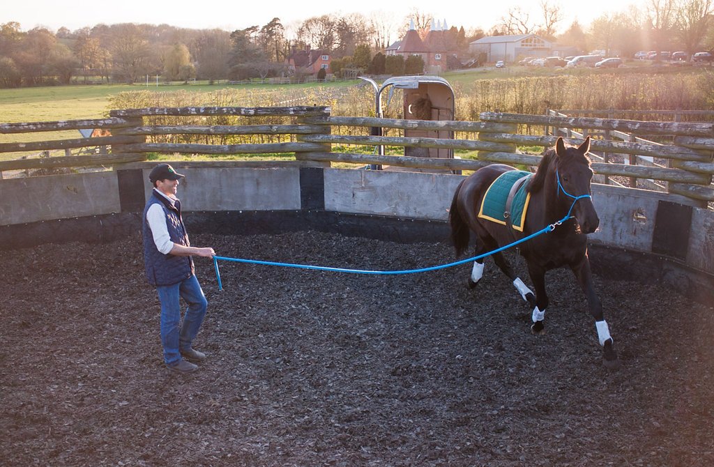 YHorsemanship's tweet photo. Got a young horse? Check out my "Starting the Young Horse Course" https://t.co/wGq5RGLjAq https://t.co/Dy2e0jmMUc
