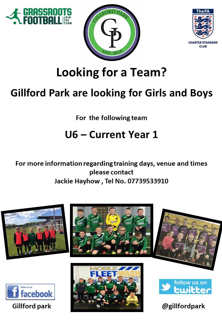 Gillford Park FC (@gillfordpark) on Twitter photo 