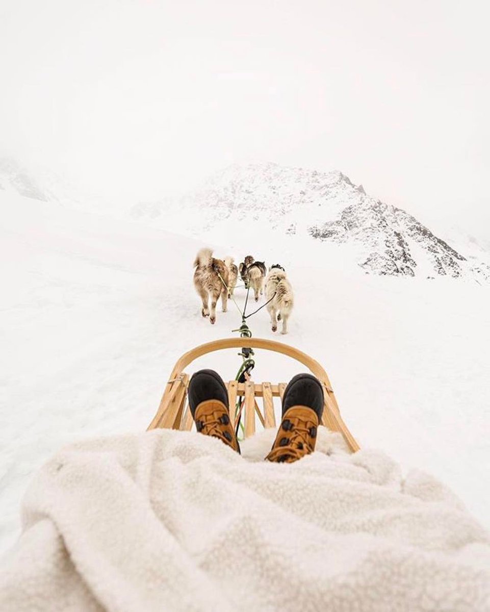 UltimateChalets's tweet photo. The perfect non-ski activity!

#Husky #DogSled #DogSledding #HuskyRide #NonSkier #Skiing #SkiHoliday #WinterHoliday #Winter #Snow #SnowActivity #FunActivities #FamilyHoliday #FamilyFun #DogSledge #Verbier #Switzerland https://t.co/m61pgBk1Hd