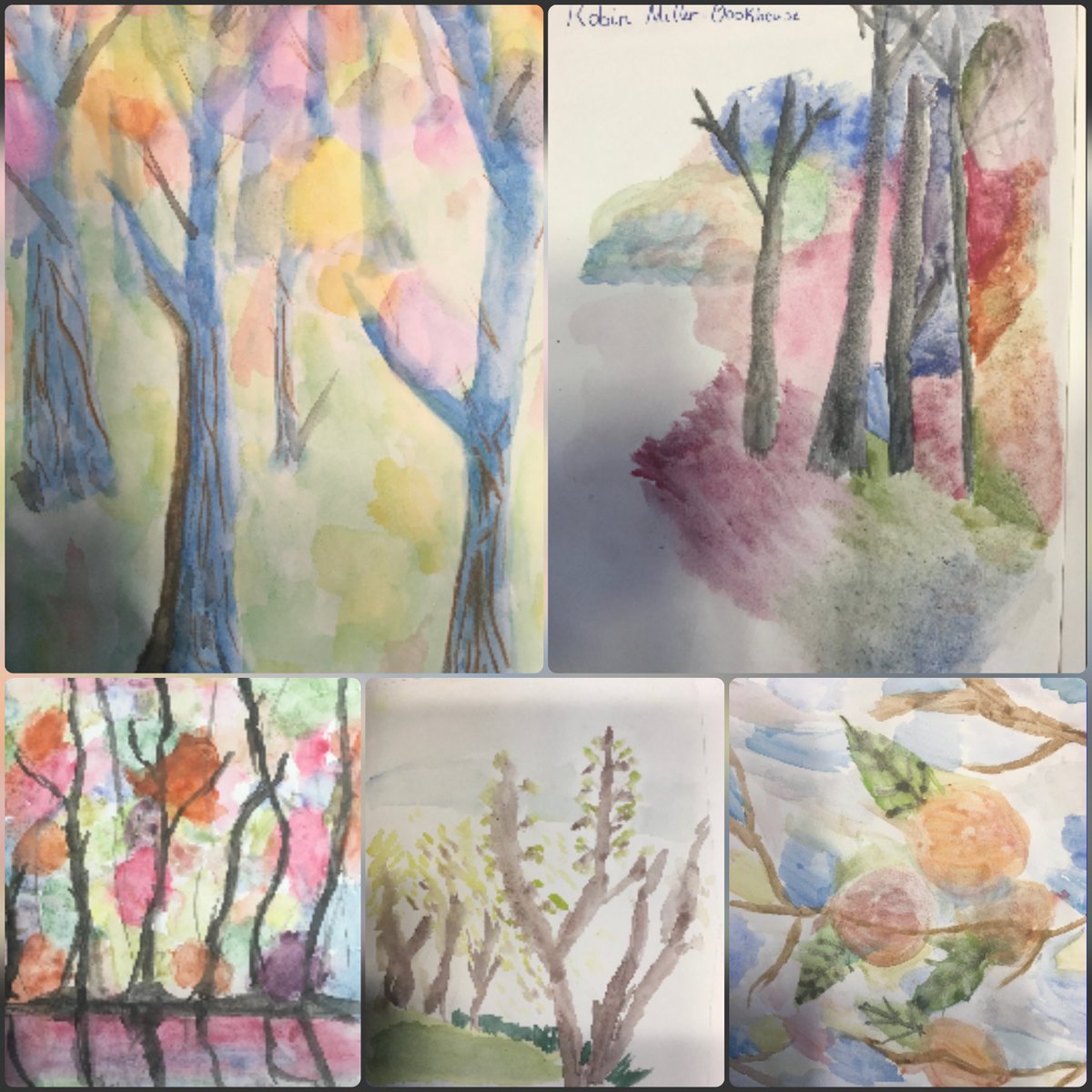 Beautiful watercolours by Year 7 students in the style of Robin Miller-Bookhout