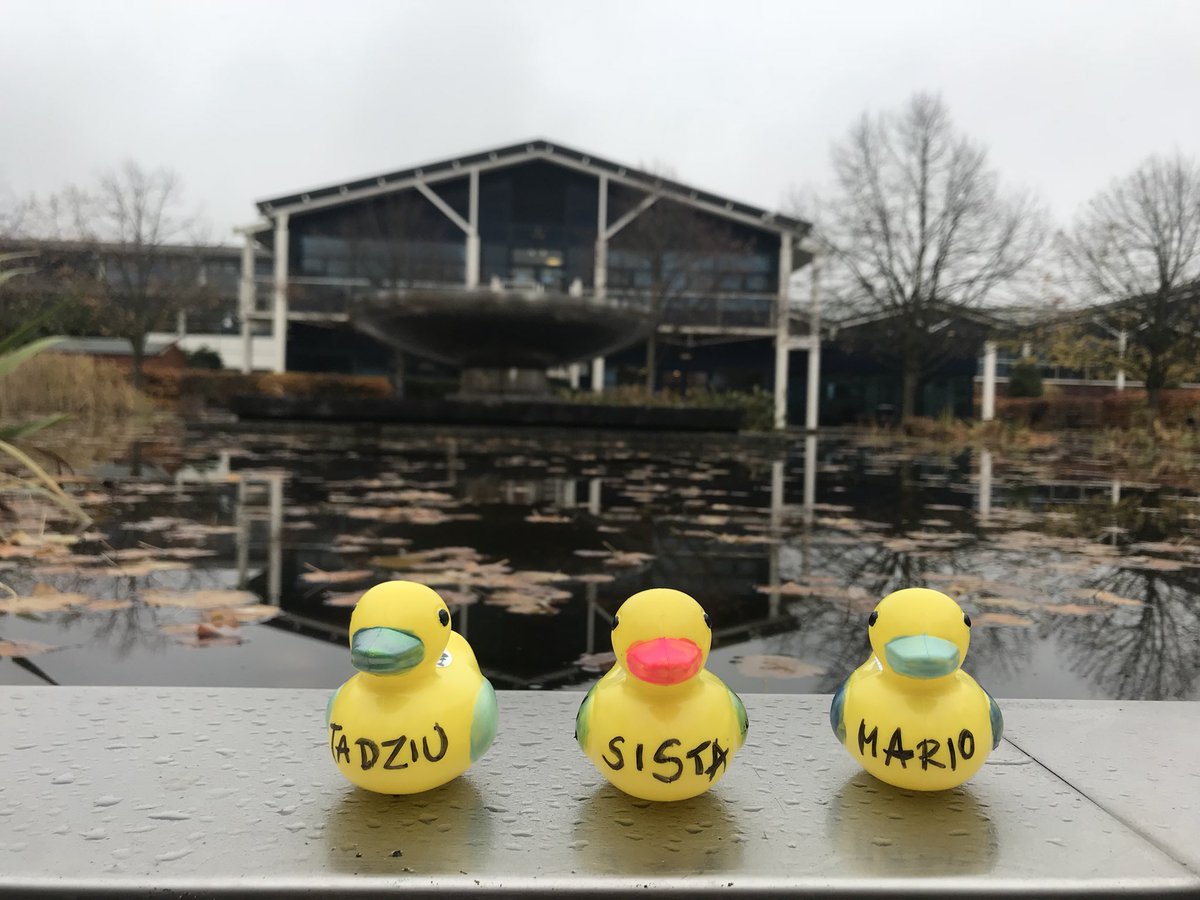 SupWhale's tweet photo. QUACK🦆Our squad is ready for @BBCCiN #ChildrenInNeed Duck Race at @StJohnsCentre 🔥🔥🔥 #Cambridge #SUP4Good #innovationhub #dogfriendly #workspace #TadziutheDude #rescuedog https://t.co/TMbkDaYhNn