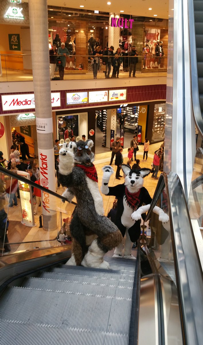 For this #FursuitFriday two dogs going shopping :3
Great Picture done by <a href="/Fusselschwarm/">Fusselschwarm</a>