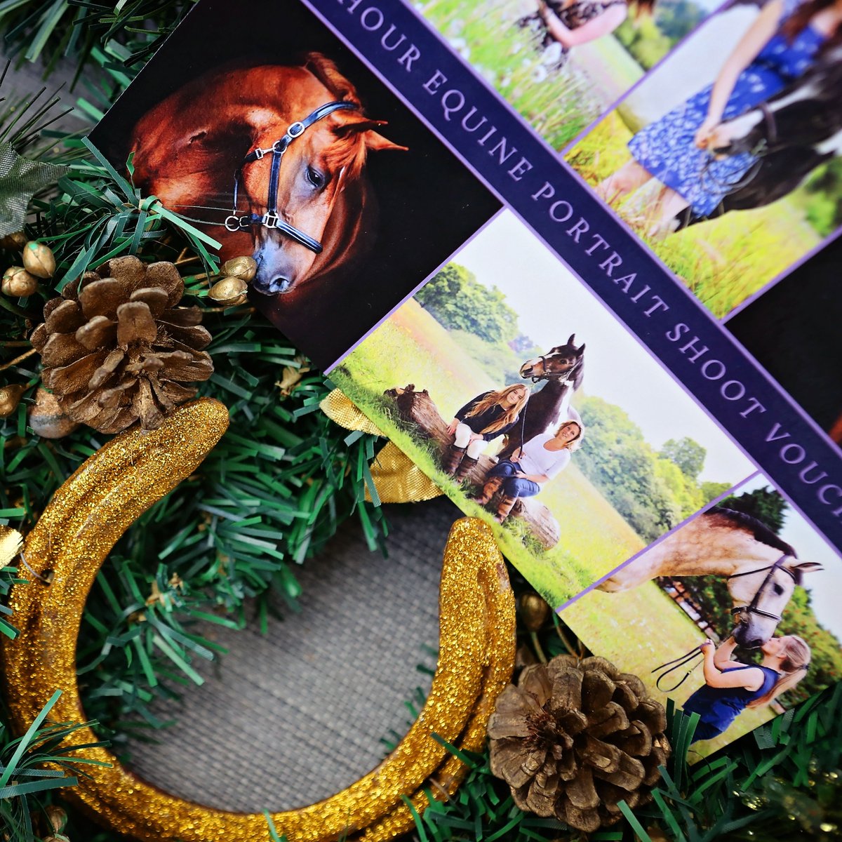 Christmas is on the agenda today.. featuring some of my favourite brands.. keep your eyes peeled!

<a href="/tailendjewel/">Tail End Jewellery</a> <a href="/eqclusive/">Eqclusive</a> <a href="/Bethanyvere_art/">Bethany Vere</a> @bexs_browbands <a href="/hoovesandlove/">Hooves & Love</a>  ..and many more!