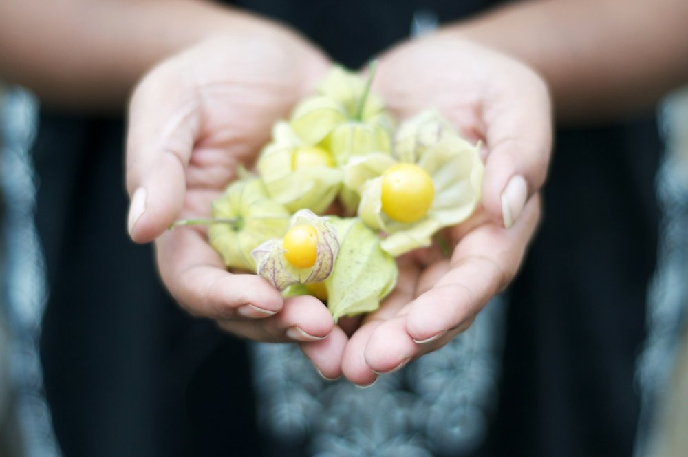 Inside Hackney tweet media