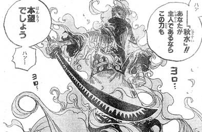 ワンピース 剣豪 霜月リューマの正体とその強さとは ゾロ との関係は 漫画情報 Info