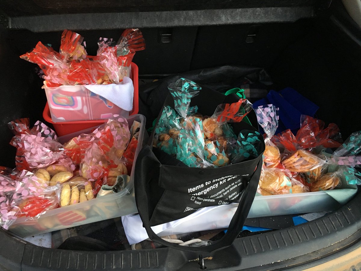 TaradalePS's tweet image. Packing the boot with biscuits we made at school today for our stall at @SAKGF fundraiser at Paul Bangay’s #stonefields open garden this weekend