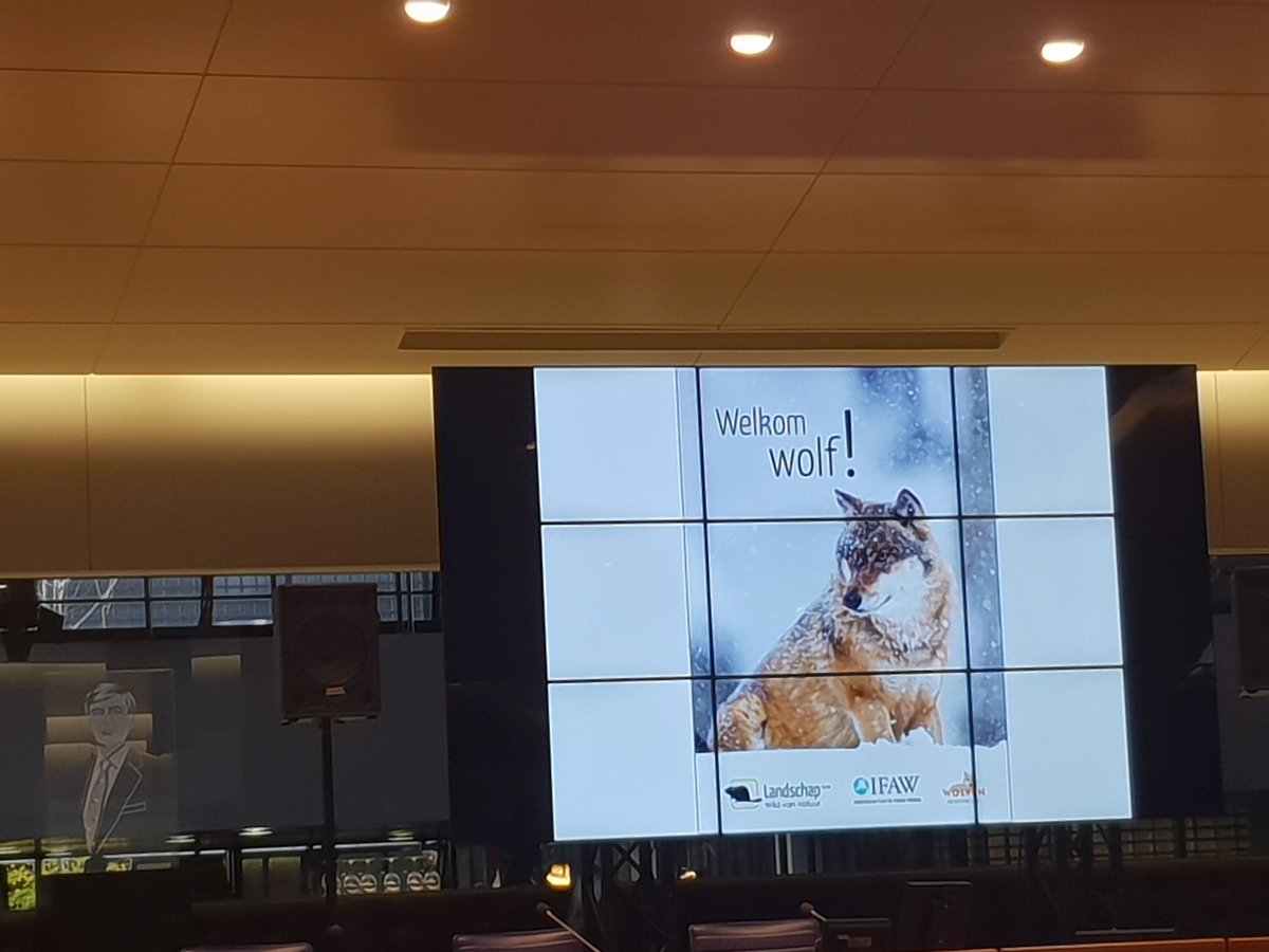 ThomasvanderEs's tweet photo. Van de terugkeer van de raaf in @Brabant naar de aanstaande komst van de wolf! #biobra2018 https://t.co/SYaqf4Js7S