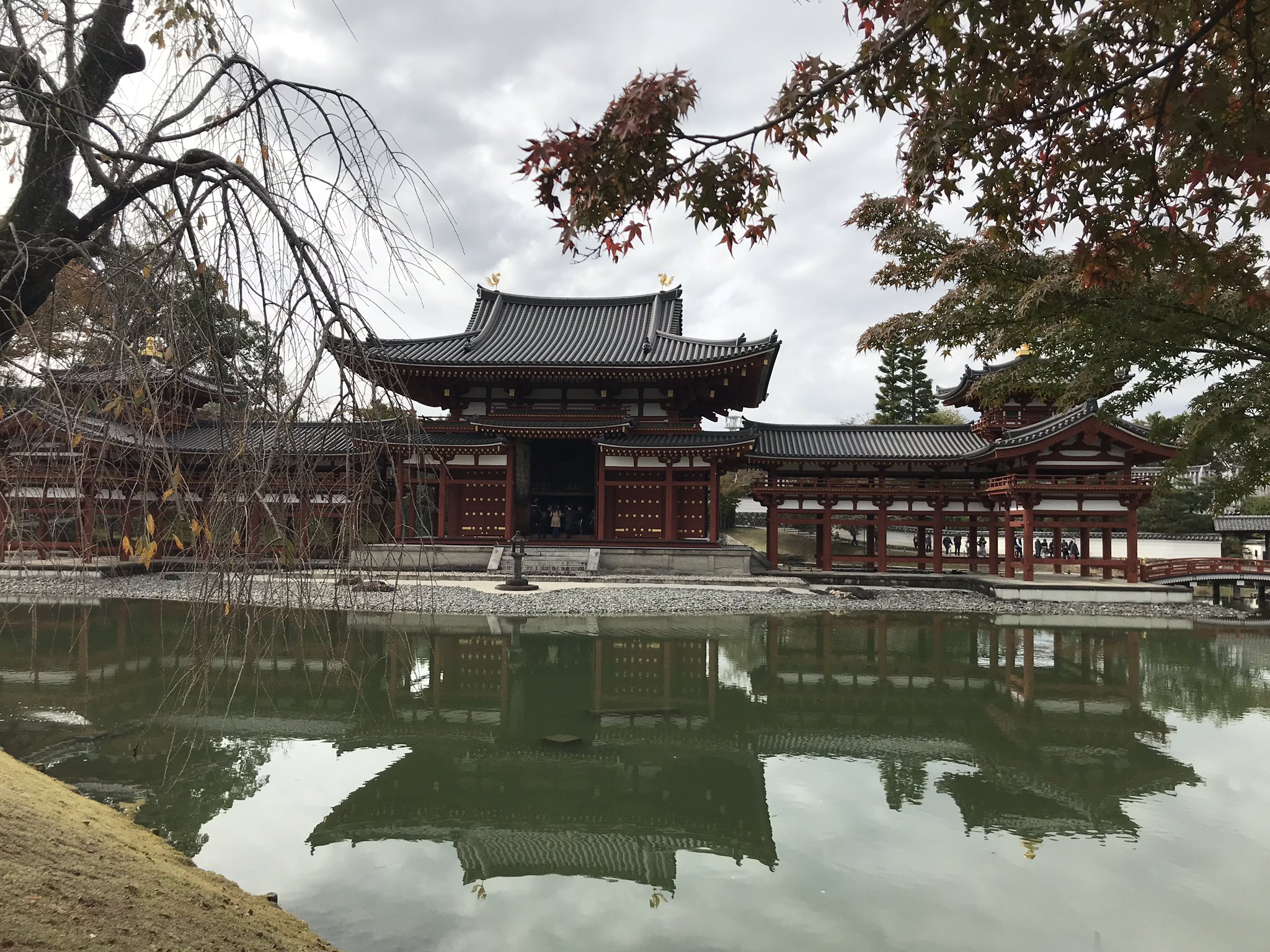 わんこ Peachの 京都観光きっぷ を使って京都観光 宇治駅から平等院鳳凰堂へ ちょっと紅葉してました Peach 京都観光きっぷ 関空 京都観光 宇治 宇治観光 御朱印 平等院鳳凰堂 T Co Ykvmuxorbg Twitter
