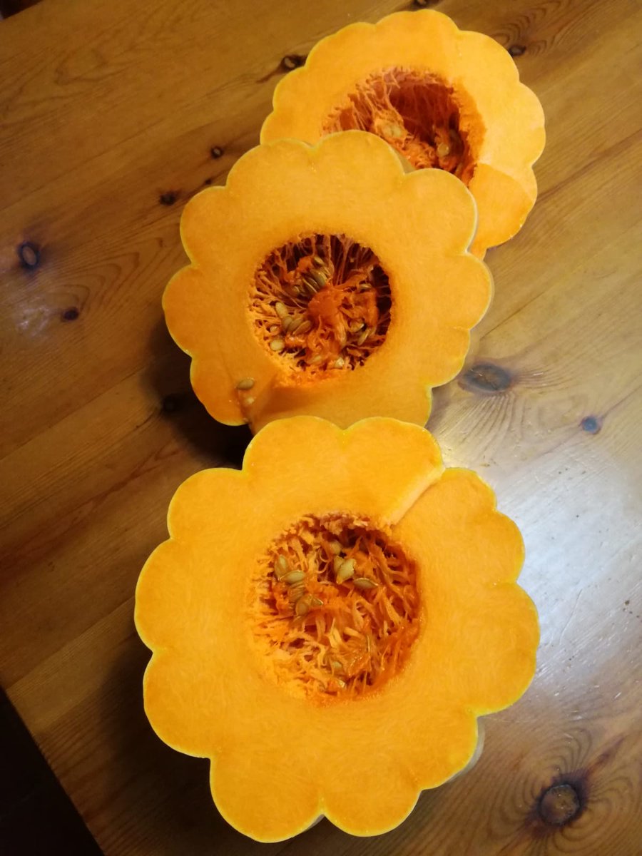 ecomenja's tweet photo. Les flors que ens regala la tardor. Un aliment ben present a les nostres cuines en aquesta temporada.
#menjadorseco #ecomenja #florsdetardor https://t.co/J1DDtfKmmy