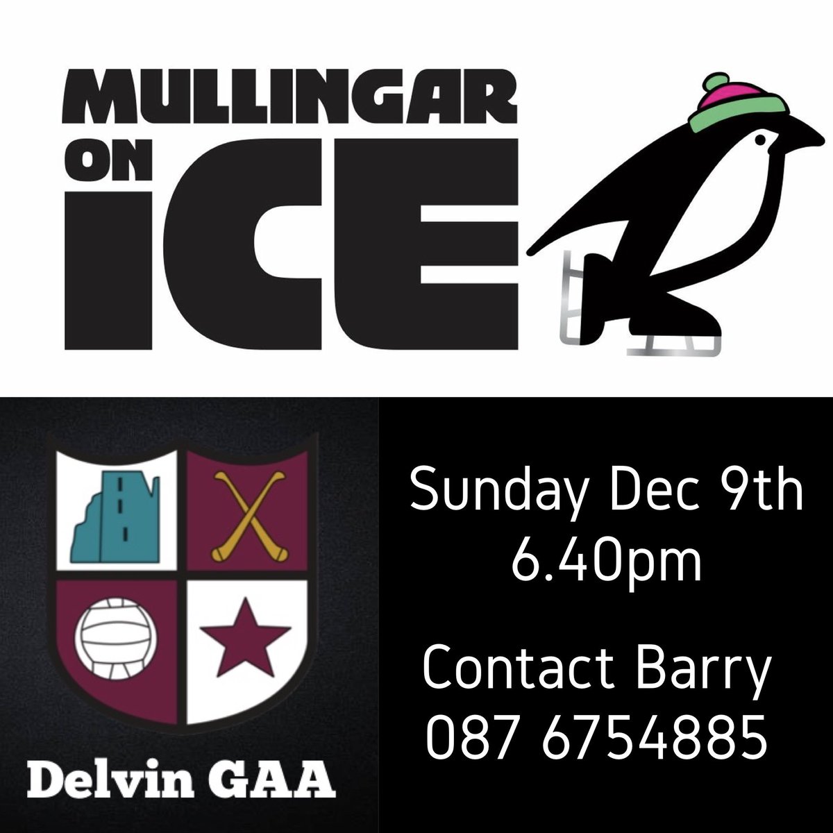 Delvin GAA Club tweet media