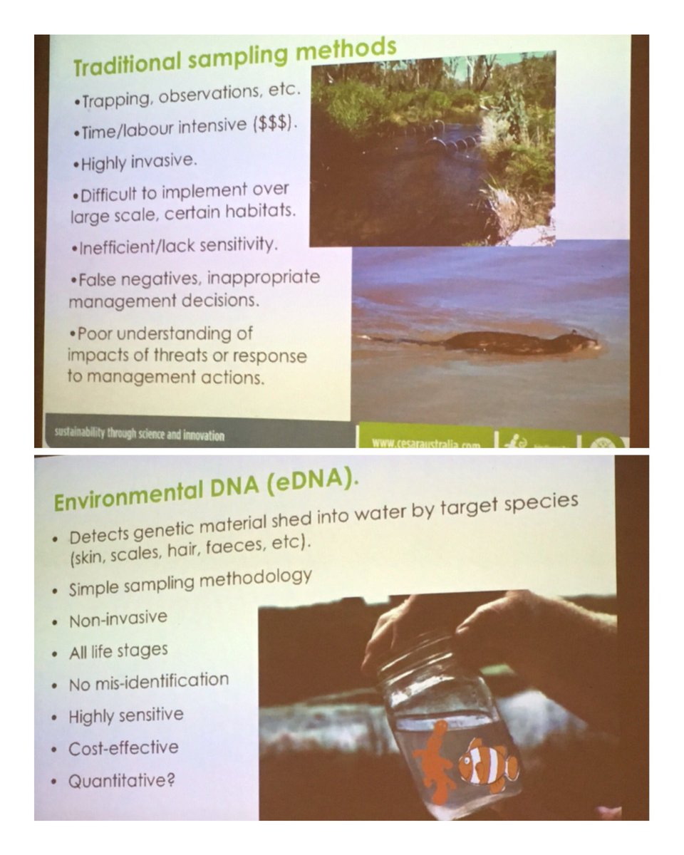 wombatnatter's tweet photo. Went to a great talk by Josh Griffiths on #platypus at #OPNP We now have amazing new #eDNA methods to locate them in #waterways but repeatedly the trends are not good ☹️@platypusSPOT https://t.co/WE1MVepuW4