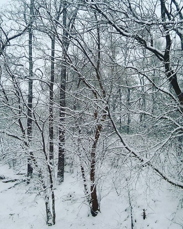 Lisa Murphy tweet media