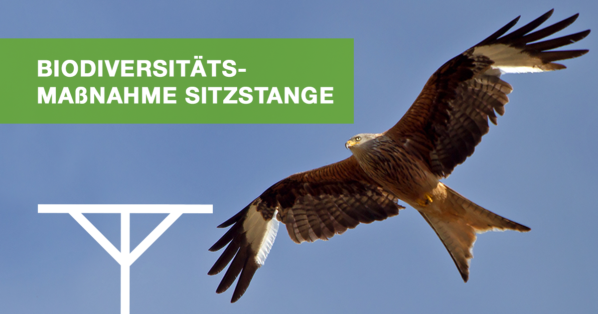 BASF_Agro_DE's tweet photo. Weiteres Ergebnis aus dem BASF FarmNetzwerk Nachhaltigkeit: Sitzstangen nutzen Greif- und Singvögel als Ansitzwarten zur Jagd oder Singwarten zur Revierabgrenzung. #BASFFarmNetzwerk #ergebnisse #biodiversität #nachhaltigkeit #maßnahmen https://t.co/23KYhUea5v