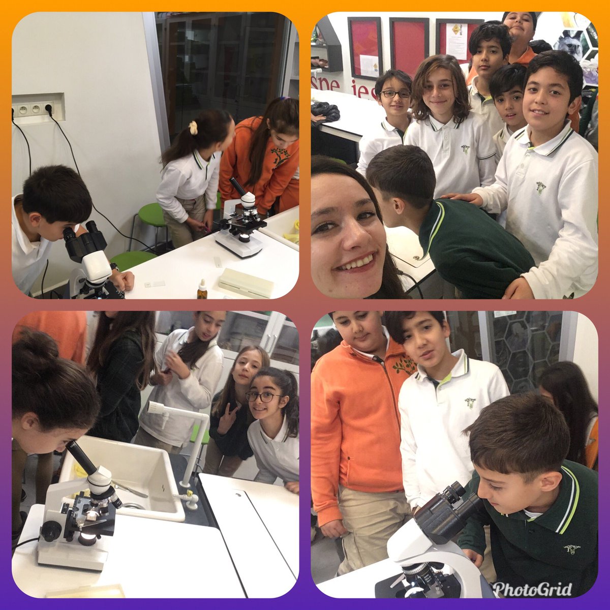 Mavişehir 3 kampüsü, 5. Sınıflar #bilimindogasi dersinde bu hafta ‘Ekmek Küfünü’ mikroskopta incelediler.Gördüğümüz bir küfün aslında binlerce hücreden meydana geldiğini anladılar. <a href="/denizfunda35/">Deniz F.K</a> <a href="/KvancBarlas/">Kıvanç Barlas 🇹🇷</a> <a href="/BozkurtRezan/">Rezan Bozkurt</a> <a href="/Gozde_Sakar/">Gözde</a>