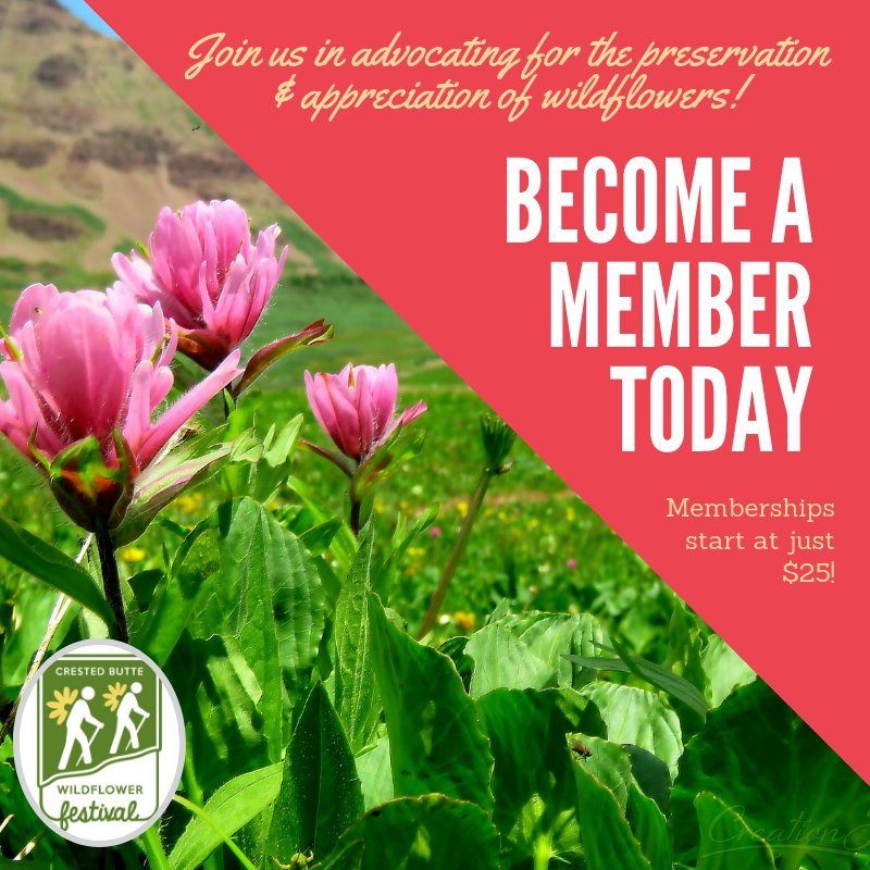 cbwildflowers's tweet photo. This giving season, we ask you to consider supporting the CB Wildflower Festival through the purchase of a membership! - https://t.co/iv7uOLDh4m https://t.co/q75lm4Mxgf