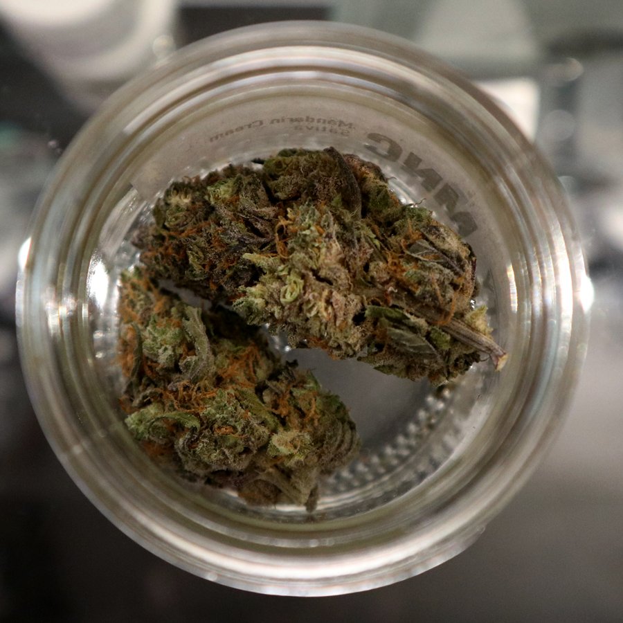 bilvaelemental's tweet photo. gostinho de feriado prolongado com notas de mais folga a caminho. 
.
.
.
#bud #cannabis #flower #flor #tricomas #terpenos #terps #canabinoides #boostyourhigh #bilvaelemental https://t.co/nbYhIFO1Cq