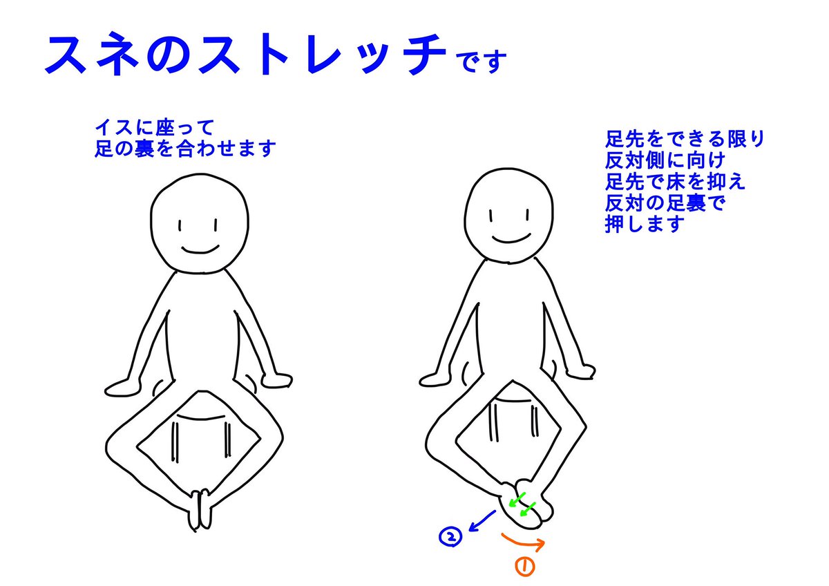 スネの筋肉(前脛骨筋)は
ふくらはぎの反対なので(拮抗筋)
スネをストレッチしてほぐすと
ふくらはぎも楽になってきます 