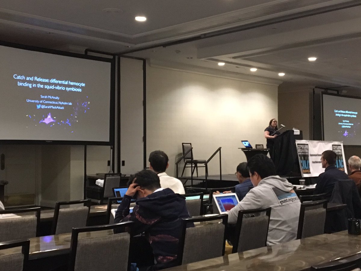 spencernyholm's tweet photo. @SarahMackAttack talking about her work with hemocytes at #CIAC2018 https://t.co/0P9cQojU8L