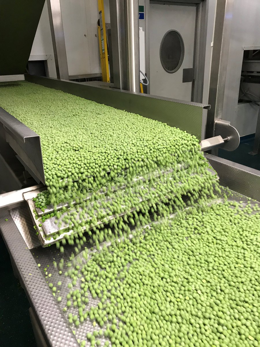 JEHartleys's tweet photo. Fridays easy PEAsy pea packing! #peas #pea2018 #peapacking #farming #welovepeas #flatoutfarming #hartleyspeas https://t.co/9qx73I7RgE