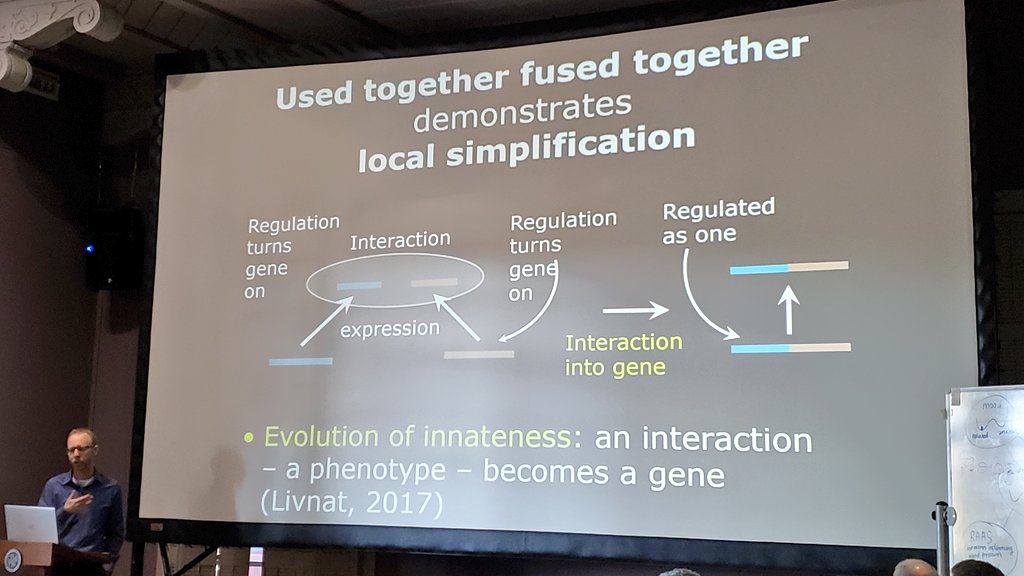 sfiscience's tweet photo. You've heard "neurons that fire together, wire together" - but did you know "#genes that are used together, fuse together"? 

Adi Livnat of @HaifaUniversity on how phenotypes become genotypes - non-random, non-Lamarckian #mutation linking #evolution &amp; #learning

#DevoBias2018 https://t.co/vgw3QO1PUY