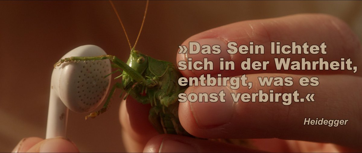 MeinBruderRob's tweet photo. Kann die Gegenwart überhaupt existieren, wenn wir sie mit unseren Sinnen immer nur im Nachhinein wahrnehmen können? MEIN BRUDER HEISST ROBERT UND IST EIN IDIOT - ab 22. November im Kino. #philosophie #zeit #kinofilm #film #filmstart https://t.co/42dfNuVxUq