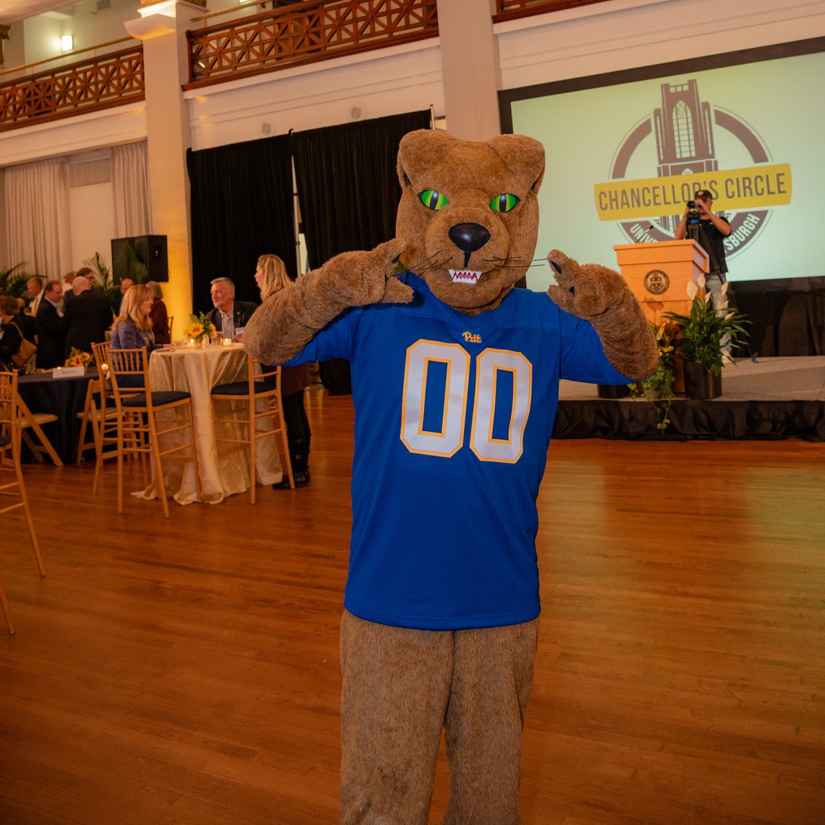 🎉 Happy Birthday, Roc! 🎉 The panther was officially adopted as Pitt's mascot on November 16, 1909. #H2P
