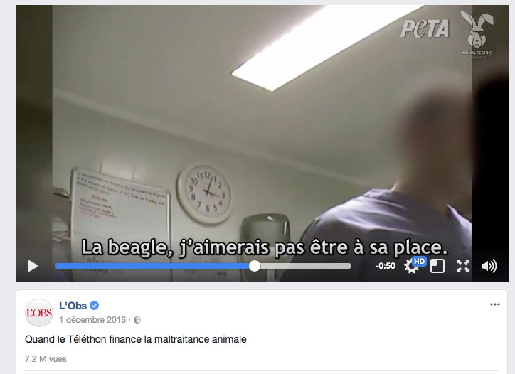 AnimalTestingFR's tweet photo. "Si l'on mettait des caméras encore faudrait-il des gens pour les regarder", H. Combrisson pour justifier l'absence de contrôles dans les labos. Nous, on le ferait ;-) (Merci à @lepeltierthomas de préciser que nos images démontrent des abus et des manquements.) https://t.co/dNmcObQxDw