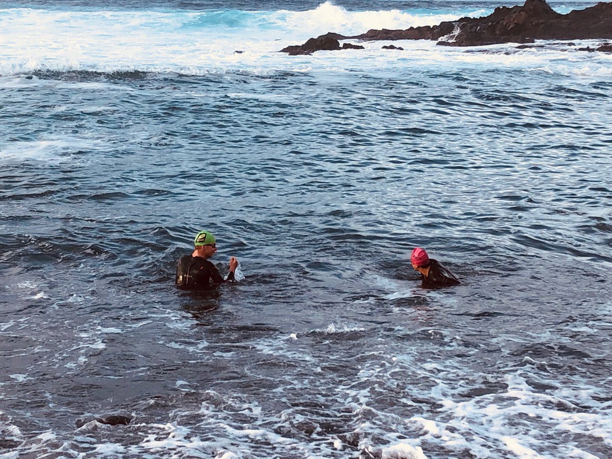 dirk gerlo tweet media