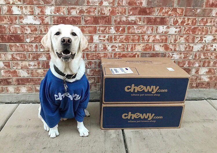 This Chewy super fan is ready to go wild on his new chew toys! 🐶 #FanFriday (📷 rendependence)