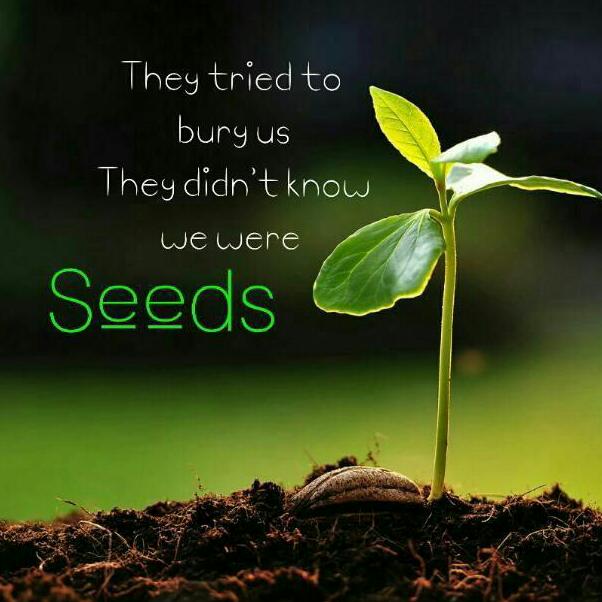 CenturionProSol's tweet image. TGIF! Hope everyone had a great week; we have had a blast at #MJBiz so far 😊 Time for some #FF shoutouts: @NorCalStoner420 @OneFallenAngelM @crazybatmanfan @Michael57645022 @realmedicineMI @EmeraldZoo @5tonergirl420 @UncleTweezy @Vikingfist @ganjagrowerNO1 @_jena4n