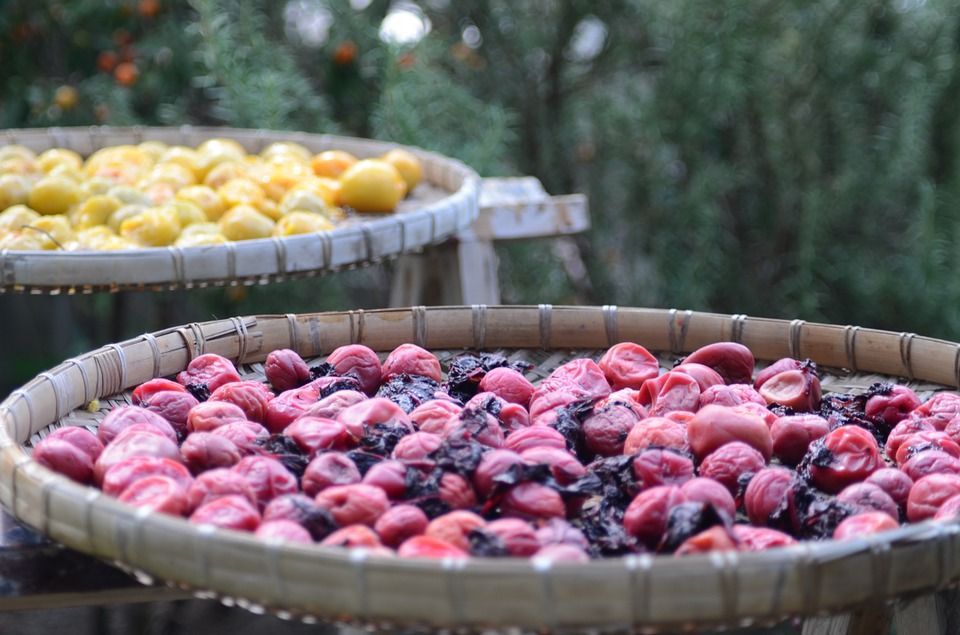 CERTUS_safety's tweet photo. What are the ingredients of the future & how will they transform the way we eat? Green banana flour, fonio, umeboshi, & insects are a few sources. Does that sound delicious? Read more https://t.co/64b3SJQIxz
#FoodSafety #Ingredients #FutureFood #Vegan #Cleanlabelling #SwabMore https://t.co/Ej3J2wBZO6