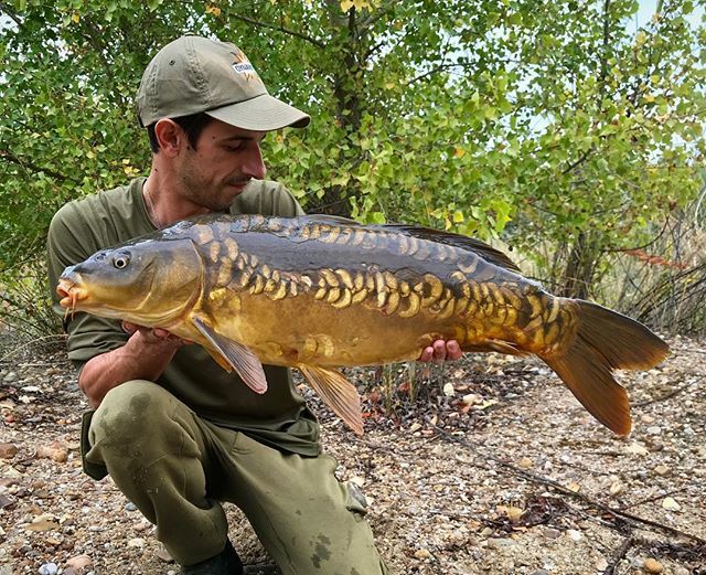 CARPdiem_Mag's tweet photo. Imperfecta perfección de la naturaleza. #carpfishingspain #carpa #carpfishing #otoño #kordatackle #spinnerrig #new #fluro #popup #dynamitebaits #shimano #fishing #outdoors https://t.co/6vJOCh84ex