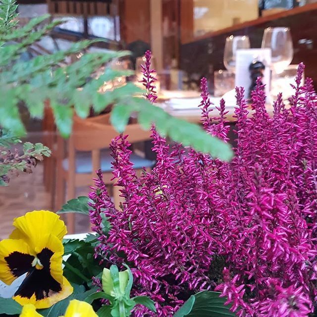 laurajeaster's tweet photo. The @lussmanns planters adding some much needed colour to today 
#plantlover #greydays #lussmanns #stalbans https://t.co/f69BDgRKcl https://t.co/3xLvOqmfdl