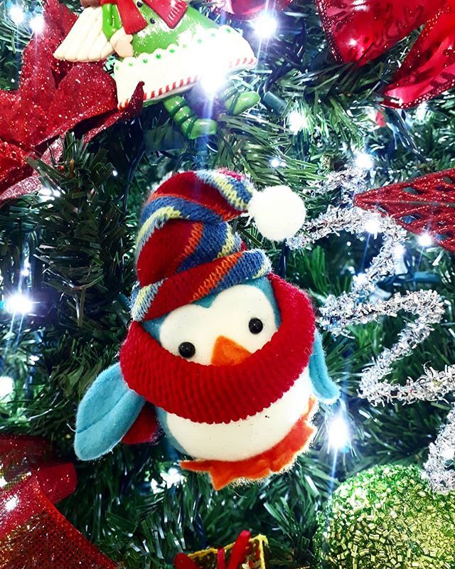 ColorEventRD's tweet photo. ¡Hello!
•••
#Navidad #ChristmasTree #ChristmasIsHere #Christmas #ArbolitodeNavidad #arbolito #rd https://t.co/qVuon6wCwW https://t.co/iPKRJdUdpp