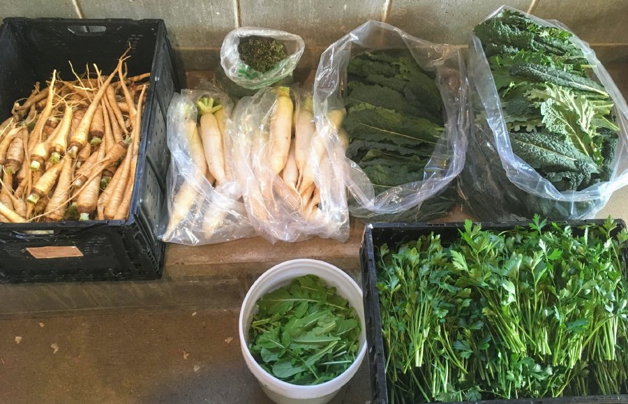 OmahaHomeForBoy's tweet photo. Going out to eat this weekend? Check out one of the restaurants using produce from Omaha Home for Boys in their dishes! @aucourantrestaurant @Stirnellaand @butterfishomaha Many thanks to the owners and chefs supporting @OmahaHomeforBoy Together we are #OHBStrong! https://t.co/LvKgVJfktg