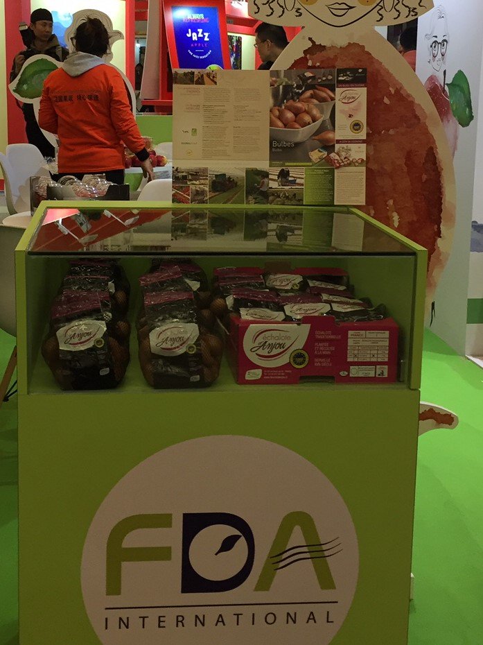VEGEPOLYSVALLEY's tweet photo. Le marché chinois ouvert à l'#échalote française ! Une belle mise en avant lors du China International Fruit &amp; Vegetable Fair 2018 - #FDA @YGidoin @Interfel https://t.co/in2ILzD7N4