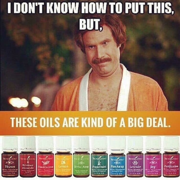 LizGendron's tweet photo. Fri-YAY Funnies! https://t.co/MINjX2Zy3X