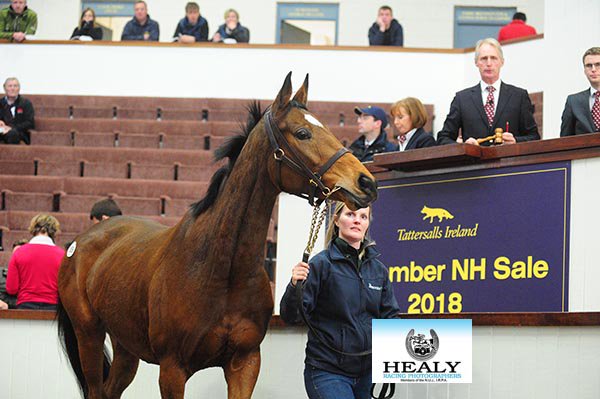 Let's Dance from @WillieMullinsNH is bought by @RuddKatie for Bertrand Le Metayer's BLM Bloodstock for €200,000 @tatts_ireland #TattsNovember
(c)healyracing.ie