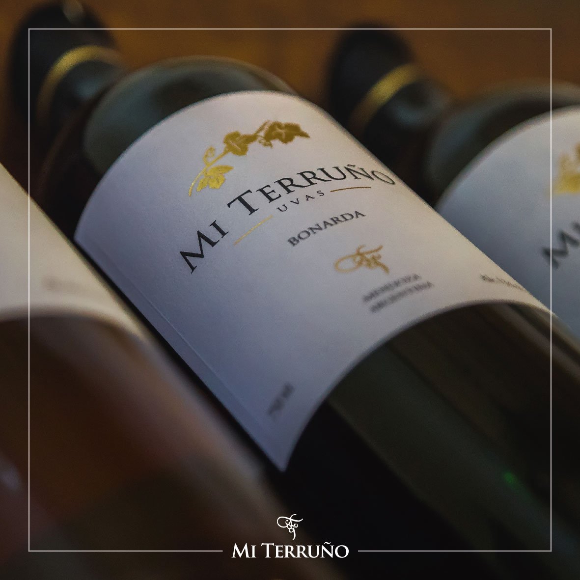 bodegamiterruno's tweet photo. Les presentamos la linea joven de nuestra bodega llamada "Uvas", vinos de excelente calidad y muy amplia en varietales.

Bodega Mi Terruño - Vinos de mi tierra. https://t.co/x3eGRmWRNA