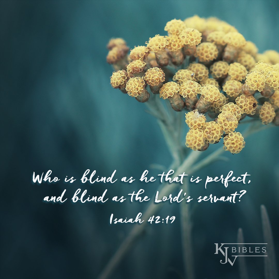 Kjv Bibles Store Al Twitter: ""Who Is Blind, But My Servant? Or Deaf, As My  Messenger That I Sent? Who Is Blind As He That Is Perfect, And Blind As The  Lord's
