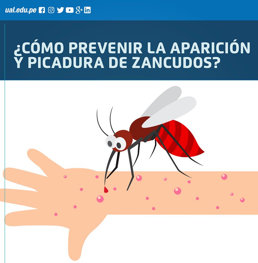 UniLoayza's tweet photo. #Recomendaciones
✅Es importante lavar, escobillar y tapar adecuadamente los recipientes donde se almacena el agua.
✅Aplicar repelente cada 4 horas.
✅Evitar prendas en color amarillo, ya que suelen atraer a los mosquitos y zancudos.
✅Consumir alimentos con vitamina C

#UAL https://t.co/BfgLj3wsDB