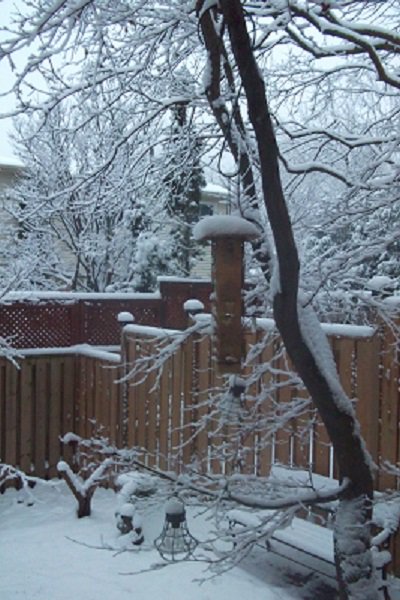 ginlyn64's tweet photo. My backyard this morning #firstsnowfall2018 https://t.co/TBC5eYjYud