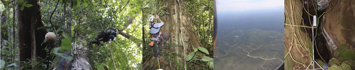 vbglobal's tweet photo. Discover a whole new dimension of experiencing #biodiversity : #ecoacoustics by #FragmentsofExtinction at the #COP14 #EgyptCOP14 MORE: https://t.co/qgl1f9mclI https://t.co/mQGk7IpZ2t