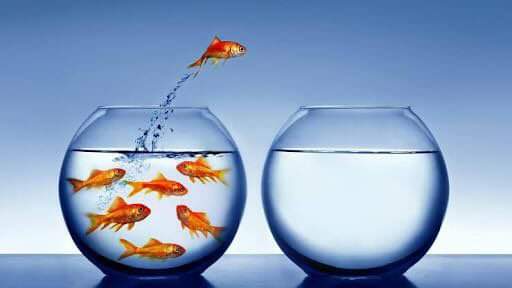 pataliali's tweet photo. Cada mujer que ayudo o inspiro desde @mupraso  me hace la mujer mas feliz del mundo! !!
El periplo sólo inicia...
Únete. ..
Sal del tumulto donde todos se pelean lo mismo
Apuesta por tus ideas
Que te empodere tu esencia y no lo que tienes material 
#LaEstrategiaDelOceanoAzul https://t.co/wO6GeshYnZ