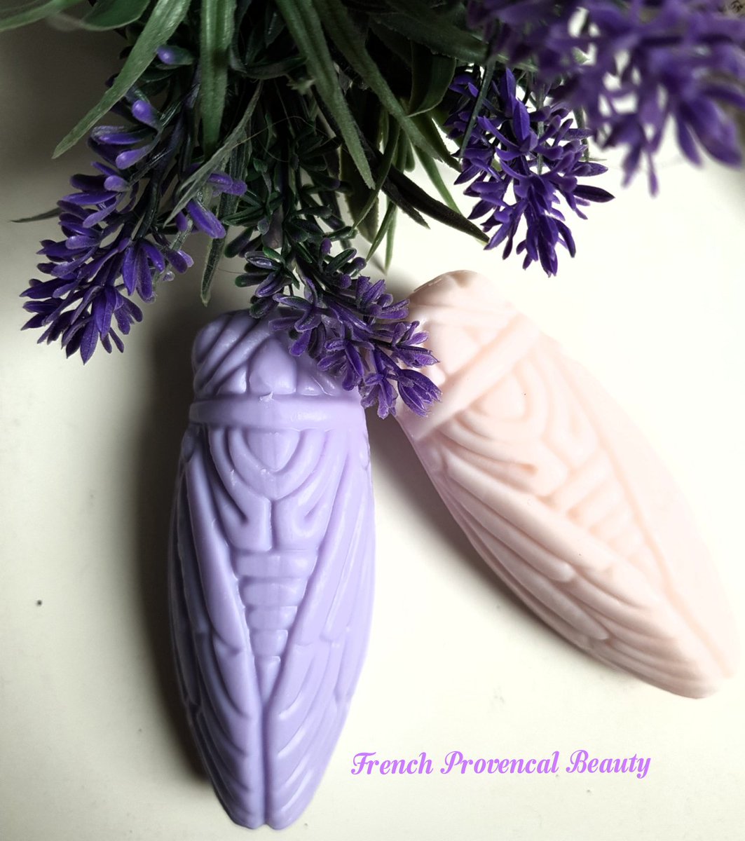ProvencalBeauty's tweet photo. L.U.C.K.Y. C.H.A.R.M O.F P.R.O.V.E.N C.E 🌈🌌
.
Bonne journée my Lovely Followers 💜
#Cigale #Cicadas #Lavander #Rose #FromProvence #Love #Beauty #Picoftheday #Provence https://t.co/8VZKl84E2q