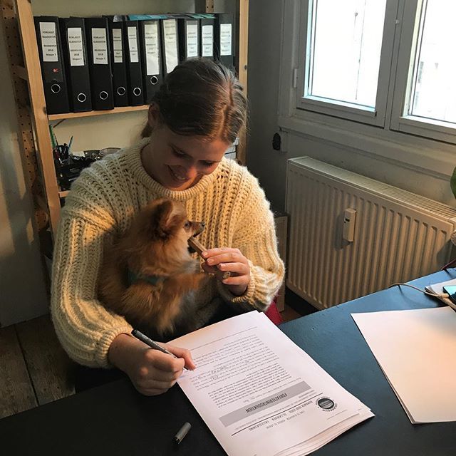 Pippi og Mai læser korrektur🏄🏻 ift.tt/2QNqDaP