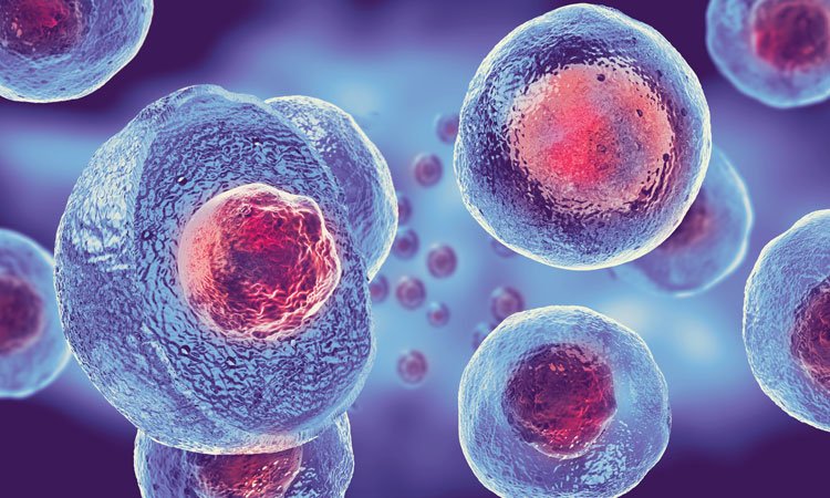 tissuescience18's tweet photo. Advanced biomaterials improves stem cell therapy for stroke. to know more , head on to, https://t.co/YJpfWaY2Mj 
#Advancedbiomaterials #stemcelltherapy #stroke #biocompatible #braindamage https://t.co/8MmdAE2RG4