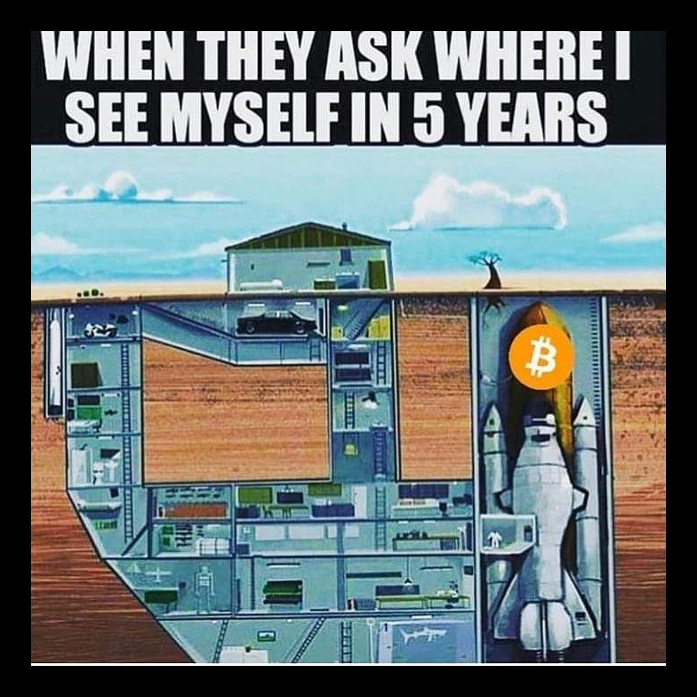 biggzi's tweet photo. #HODL!!!.... https://t.co/MvFdyE39xx
